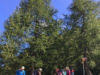 IMG 3918 1  over the pass and down to the road